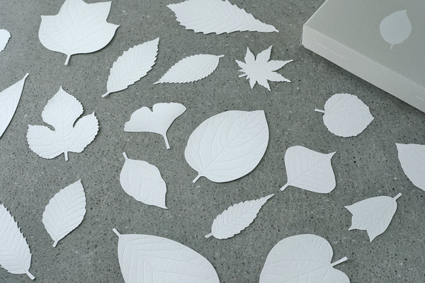 LEAVES