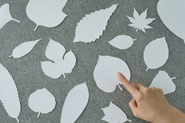 LEAVES