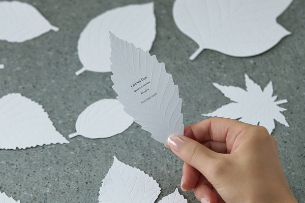 LEAVES