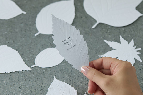 LEAVES