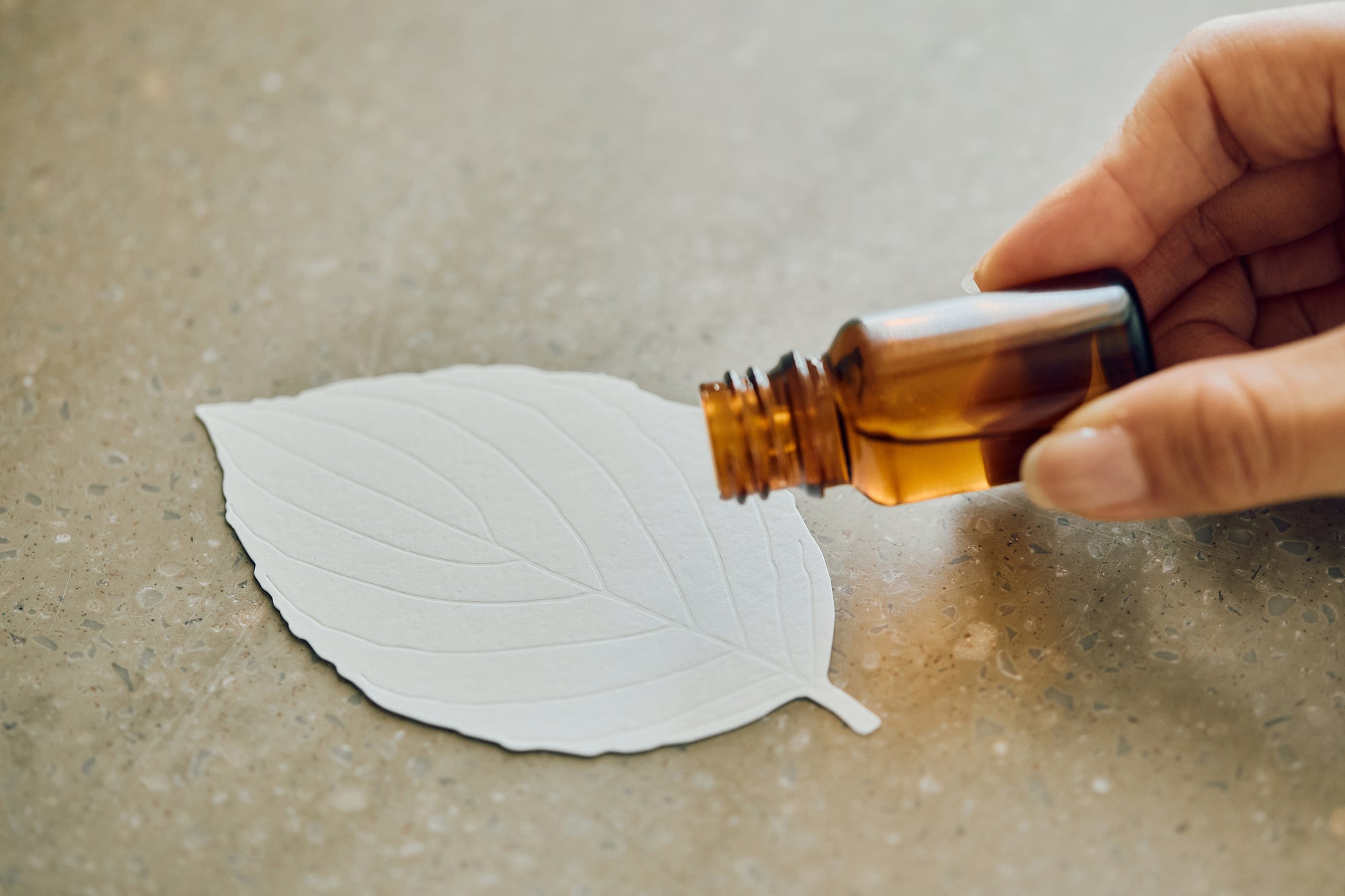 LEAVES