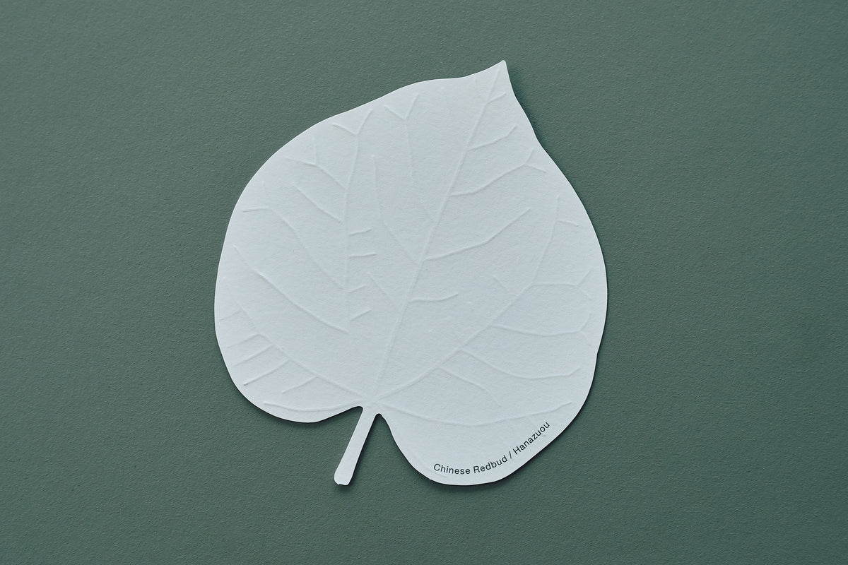 LEAVES｜Single Card