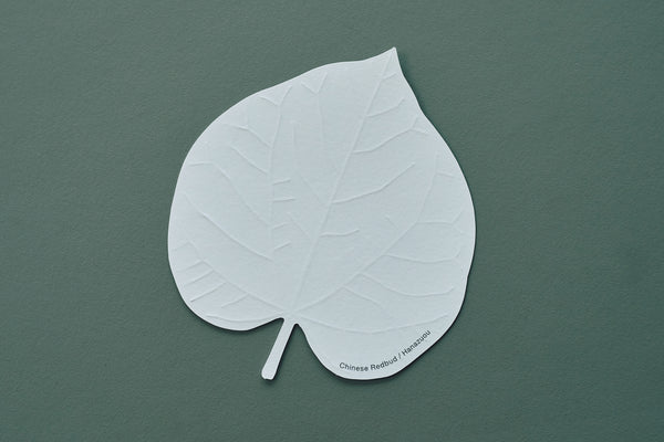 LEAVES｜Single Card