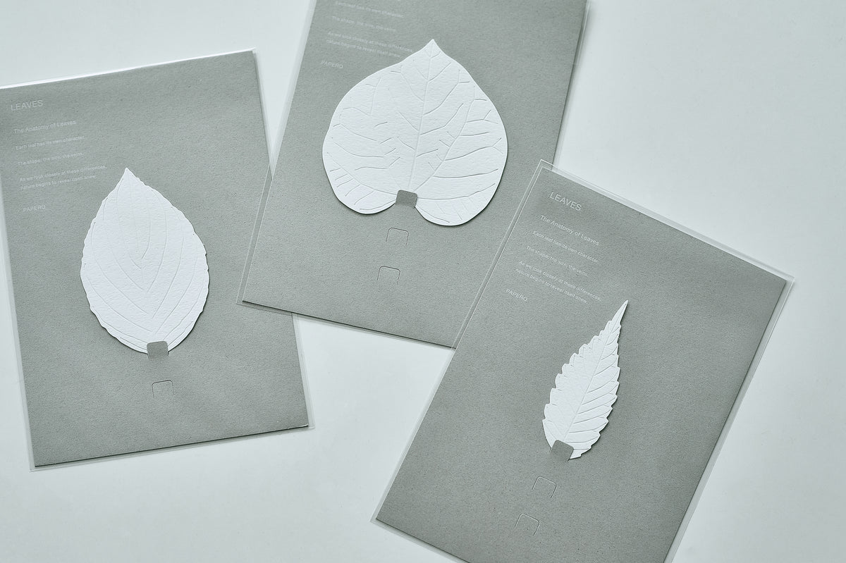 LEAVES｜Single Card