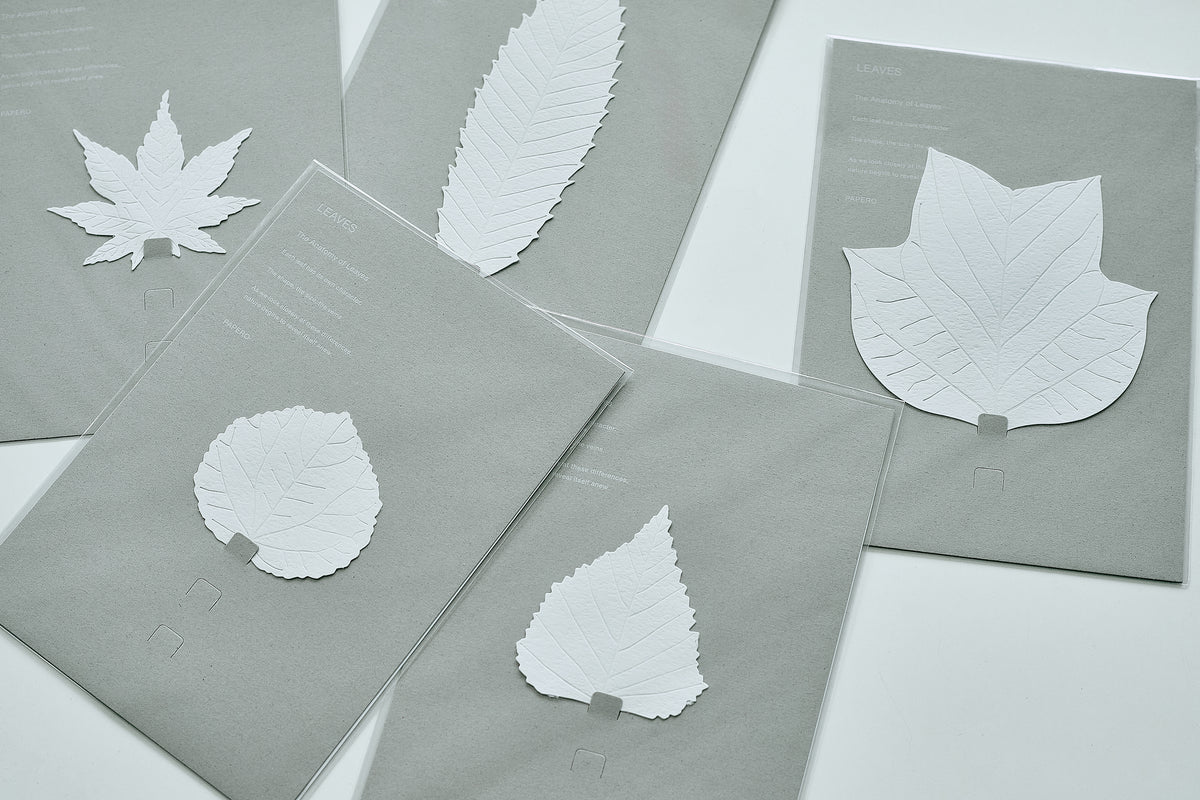 LEAVES｜Single Card