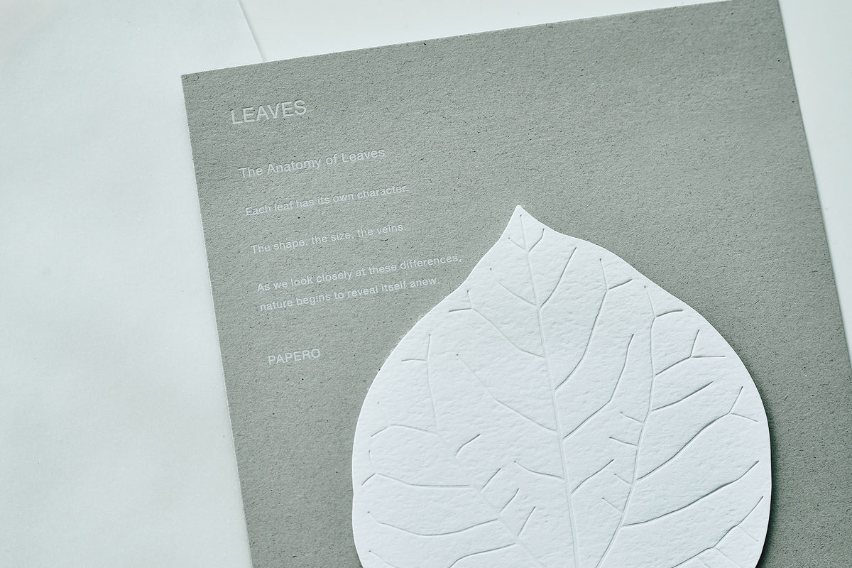 LEAVES｜Single Card