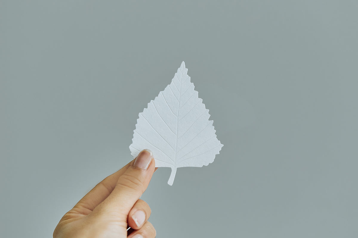 LEAVES
