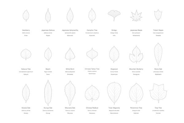 LEAVES