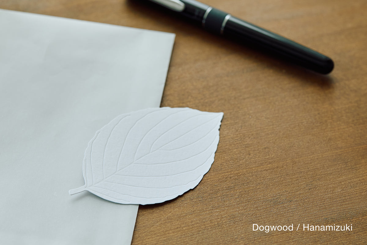 LEAVES｜Single Card
