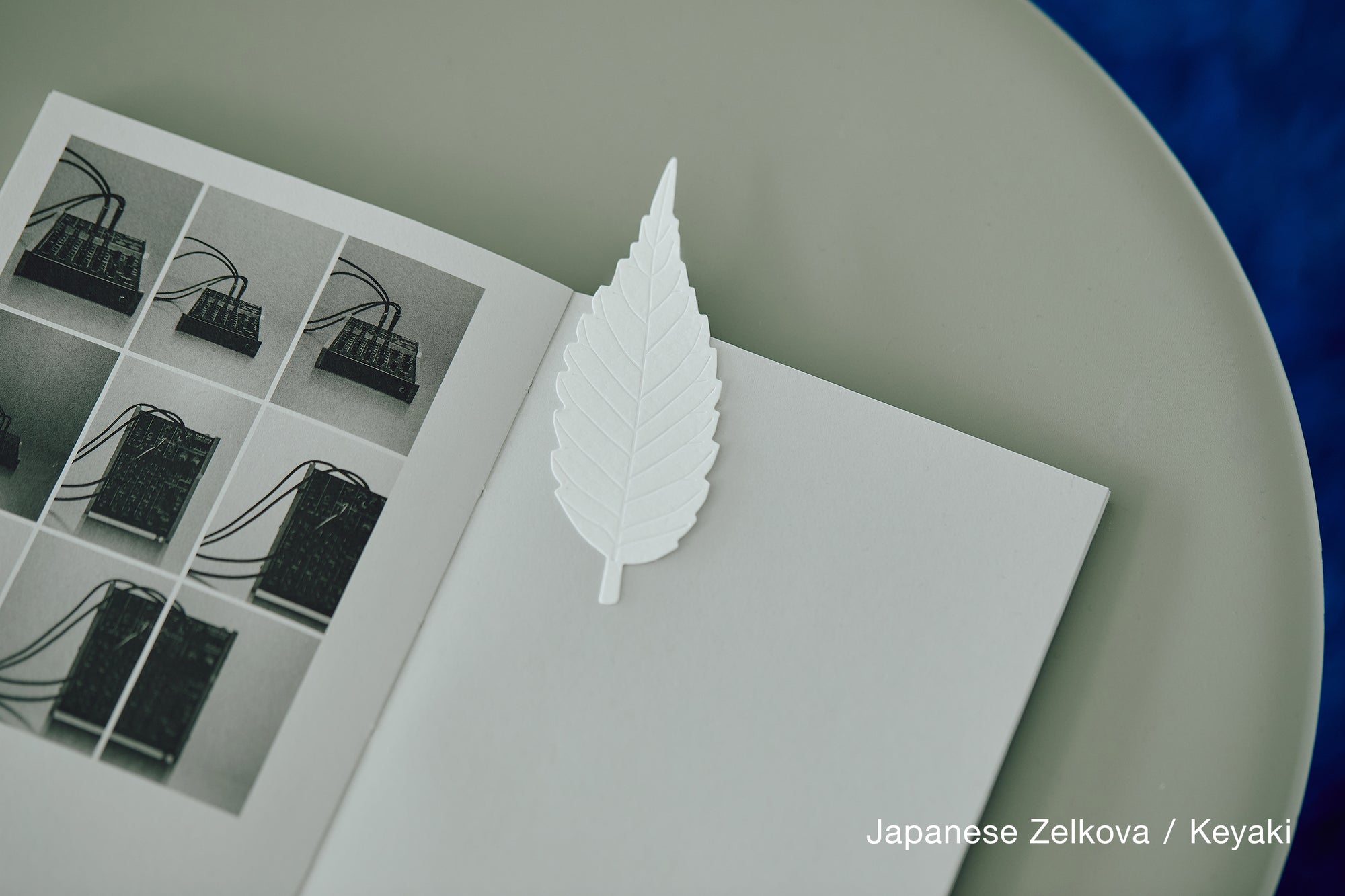 LEAVES｜Single Card