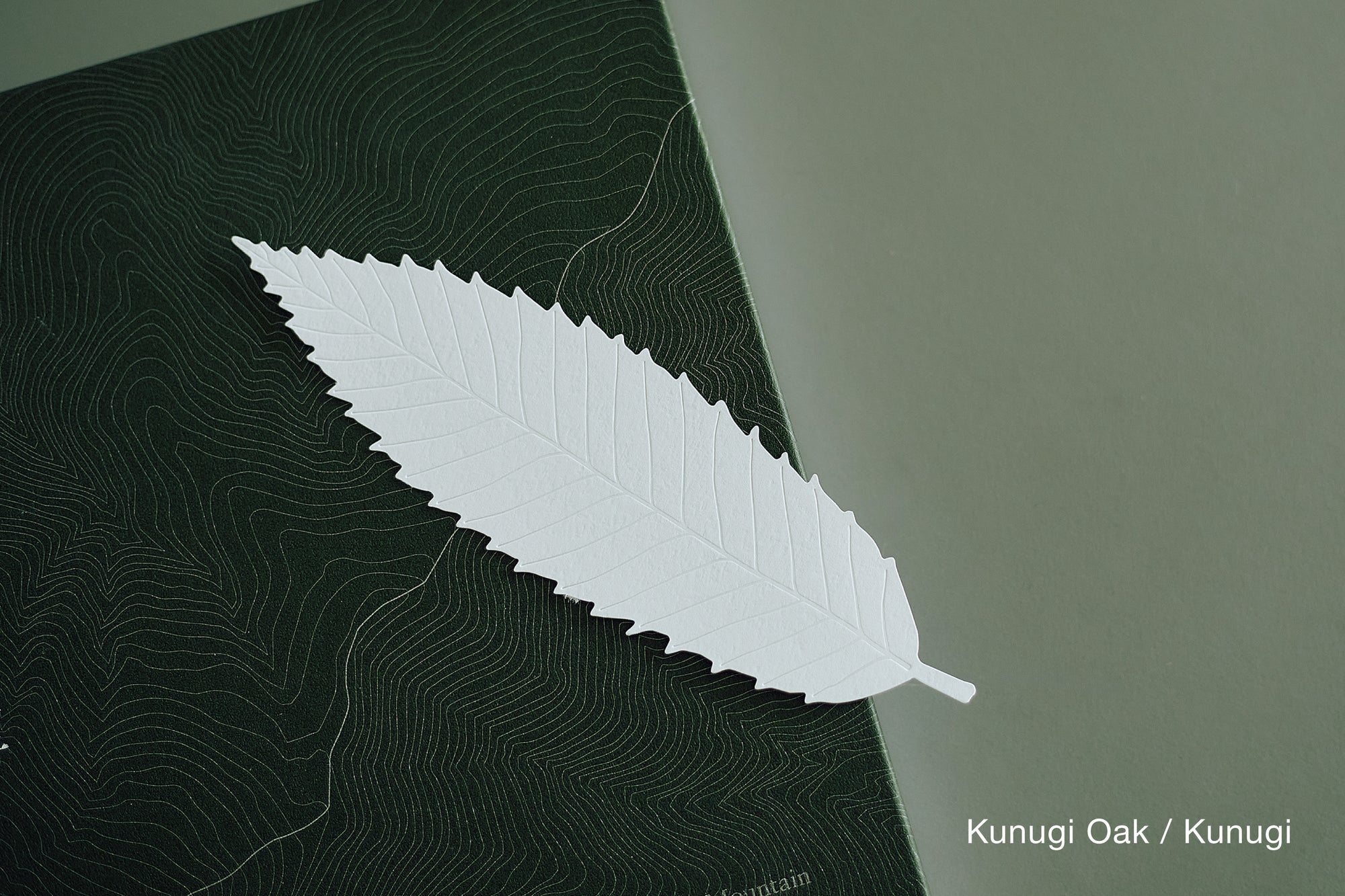 LEAVES｜Single Card