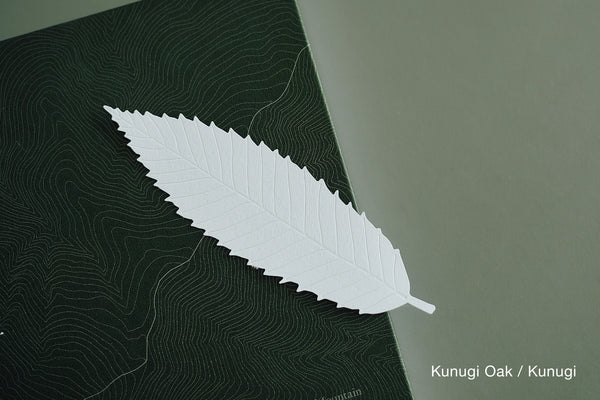 LEAVES｜Single Card