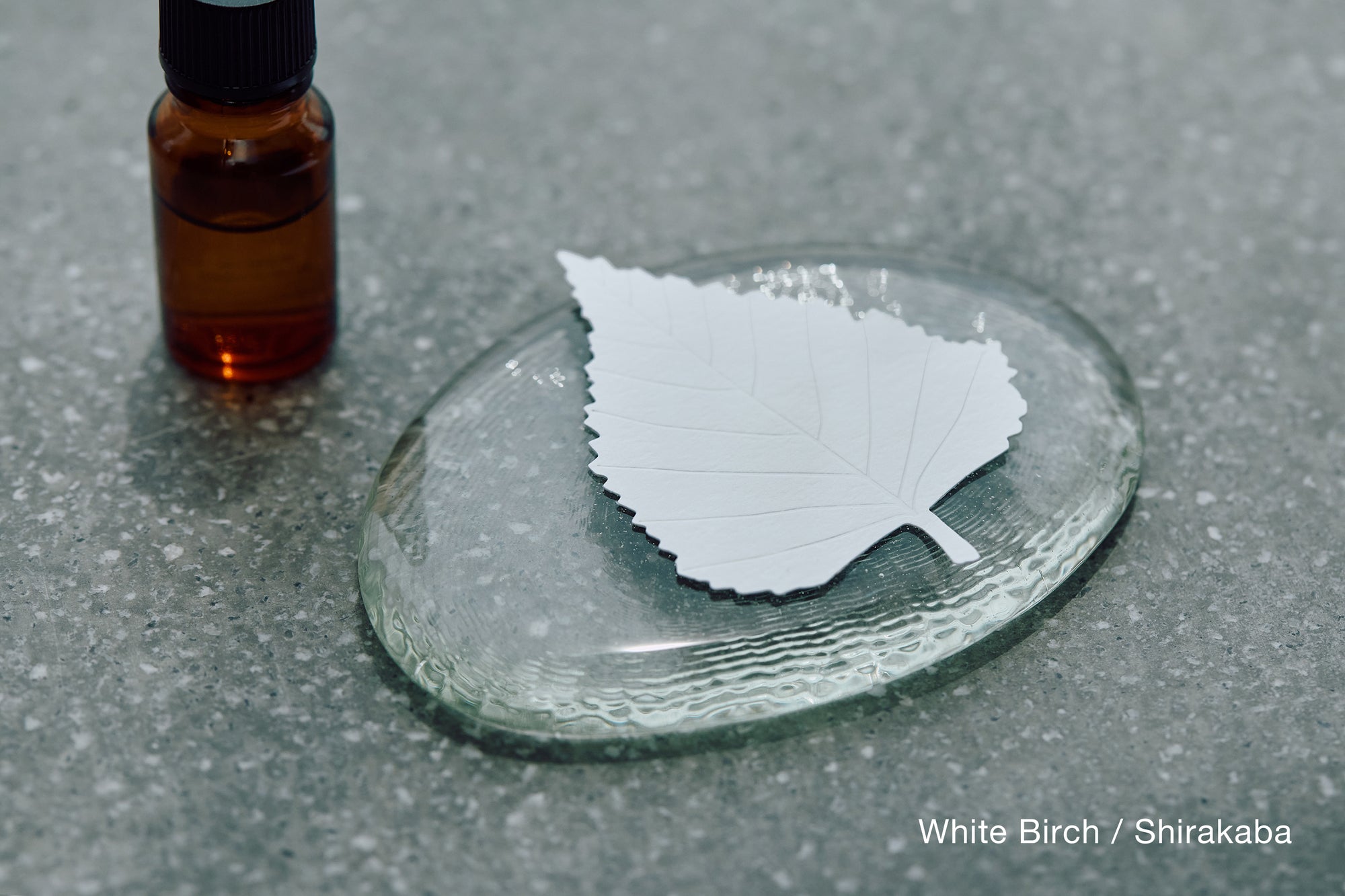 LEAVES｜Single Card