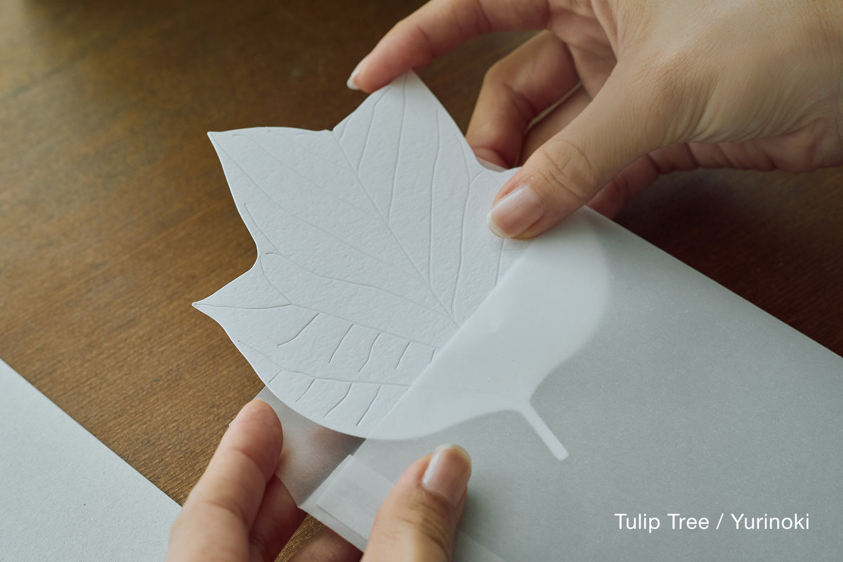LEAVES｜Single Card